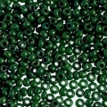 Бисер PRECIOSA 53233 (G462) т. зеленый-хаки 50 гр. (№10)